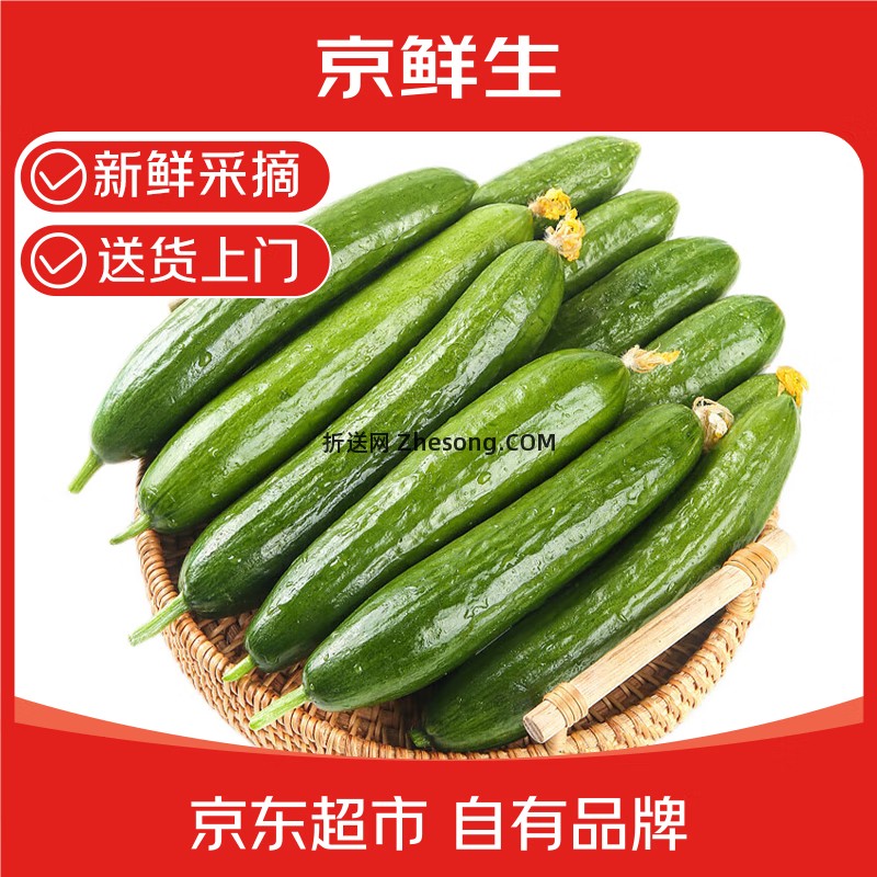 京鲜生山东荷兰水果黄瓜净重3斤 8.90元 - 折送网