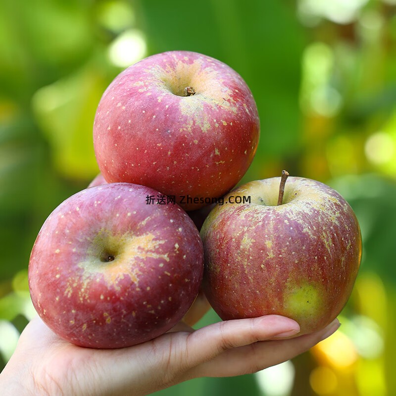 京鲜生高原红富士苹果8.5斤 26.90元 - 折送网