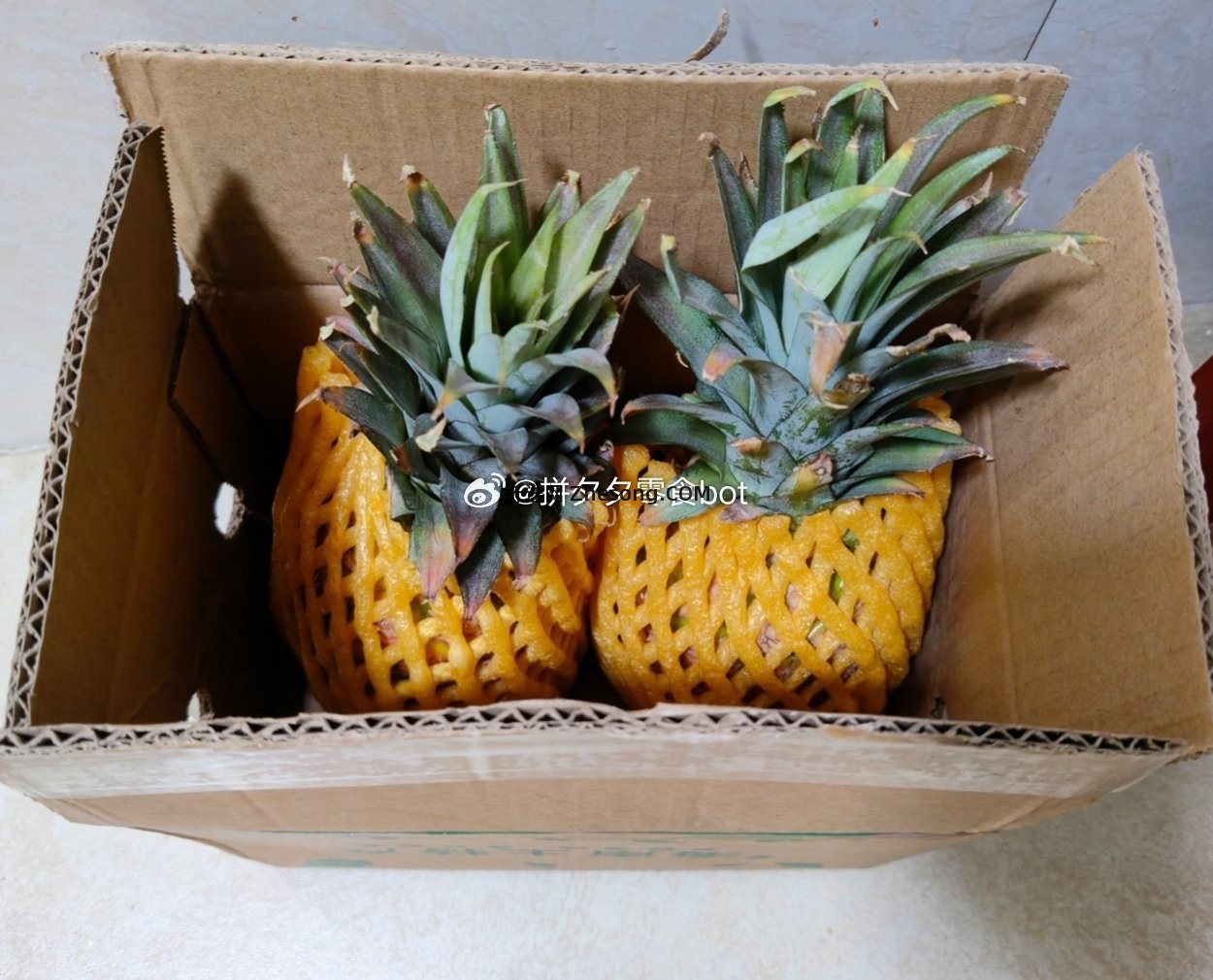 海南金????凤梨 净重2-2.5斤 9.9元 - 折送网
