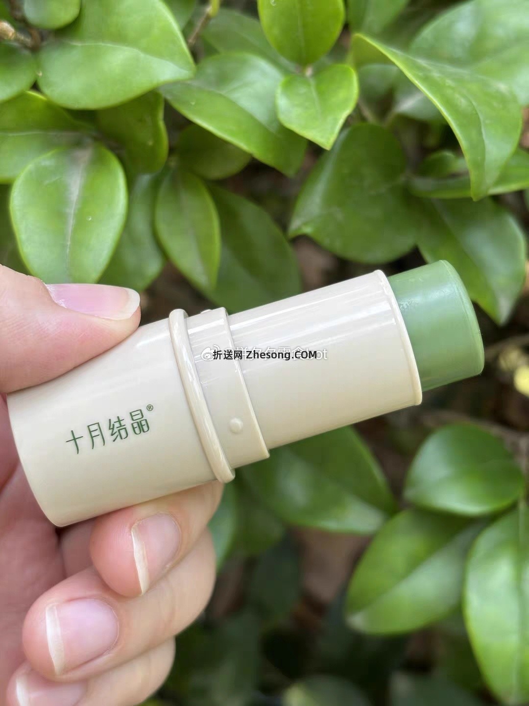 十月结晶紫草膏2支 16.21元 - 折送网