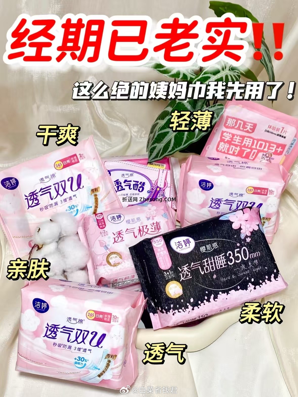 洁婷透气双u卫生巾任选6件 28元 - 折送网