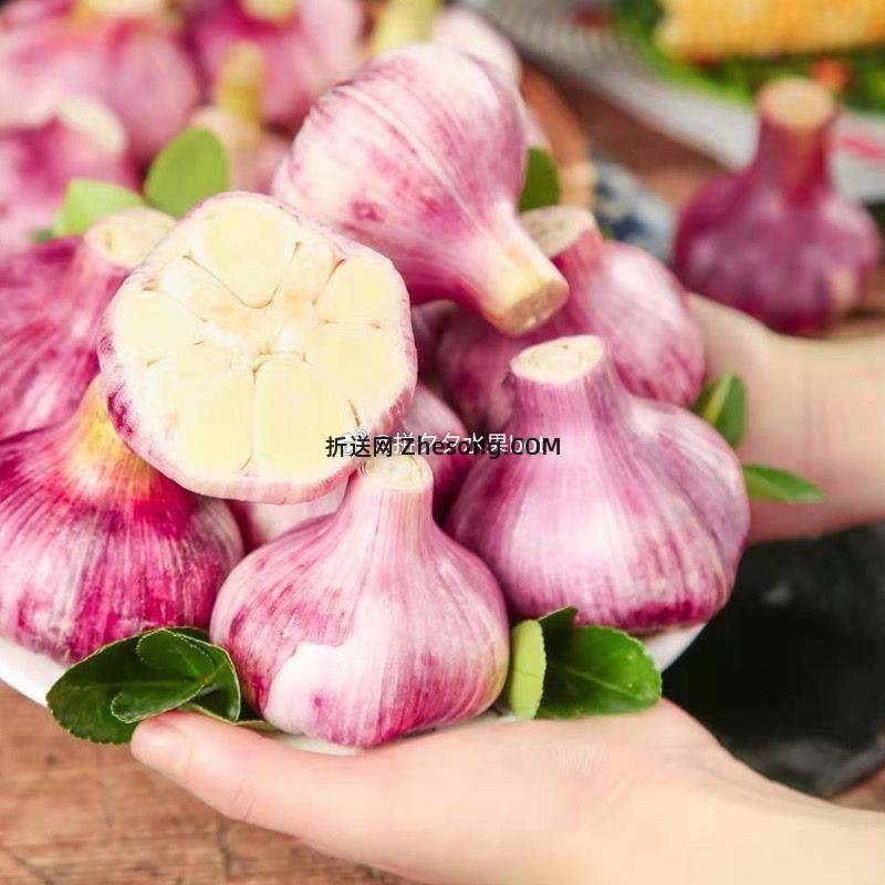 紫皮蒜4.5斤 10.8元 - 折送网