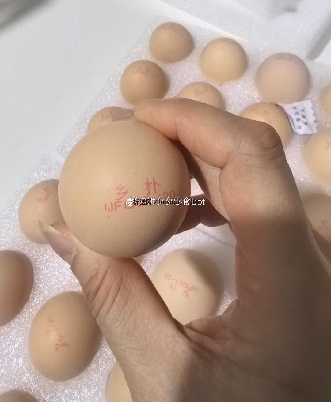 生鲜 可生食无抗鸡蛋30枚 19.9 - 折送网