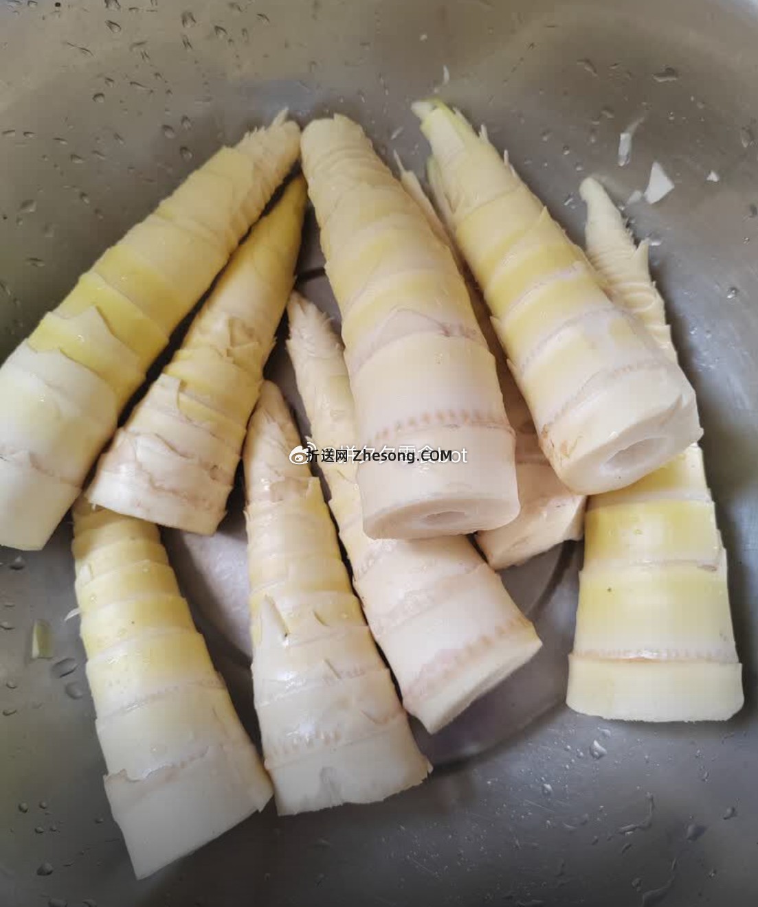 京鲜生临安天目春笋大笋3斤6-9根 16.9元 - 折送网