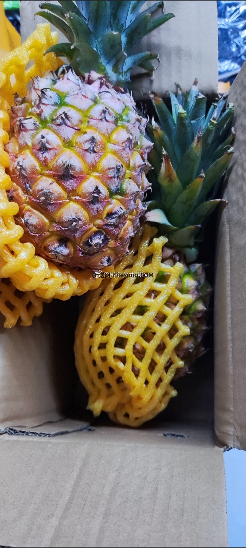 金钻凤梨2斤左右 9.9元，金钻凤梨一个一斤左右 9.9元 - 折送网